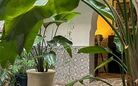 Riad Maiya